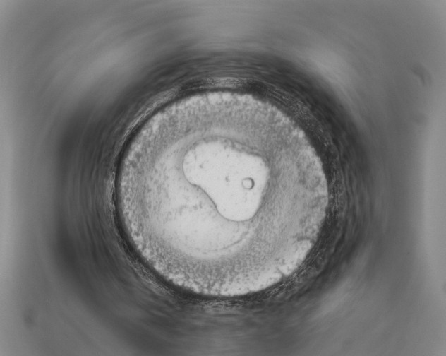 X0000111920146200909071224