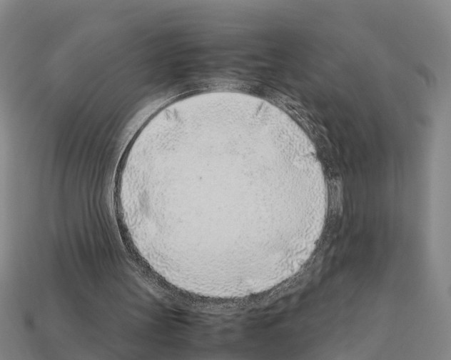 X0000111920147200909071224