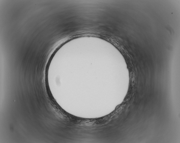 X0000111920148200909071224