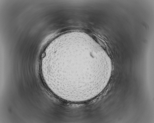 X0000111920149200909071224