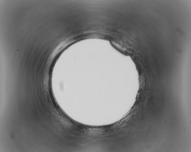 X0000111920150200909071224