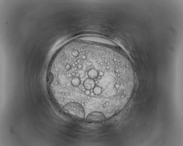 X0000111920151200909071224