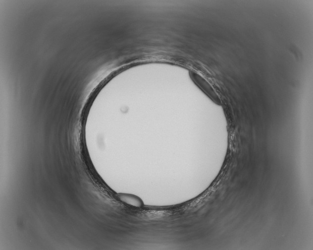 X0000111920152200909071224