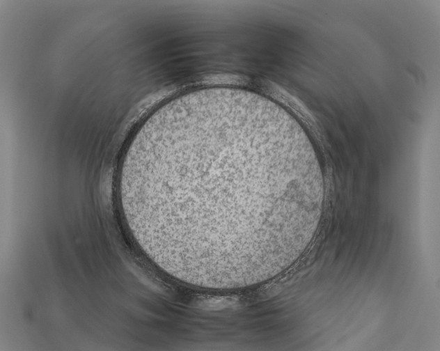 X0000111920155200909071225