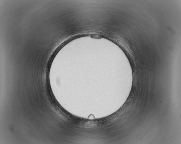 X0000111920156200909071225