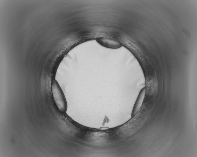 X0000111920158200909071225