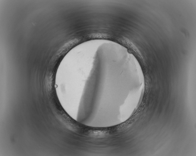 X0000111920163200909071225