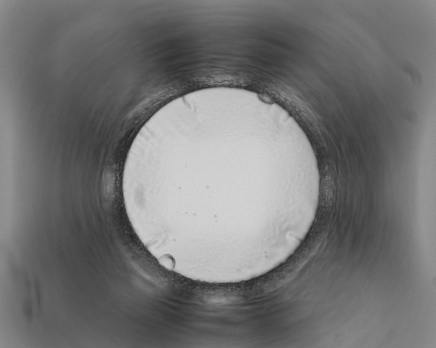 X0000111920165200909071225