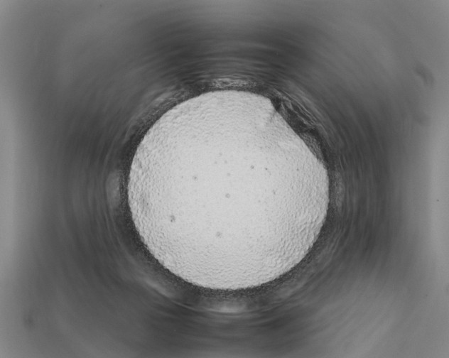 X0000111920169200909071225