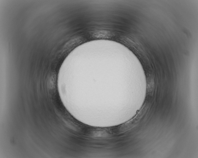 X0000111920175200909071225