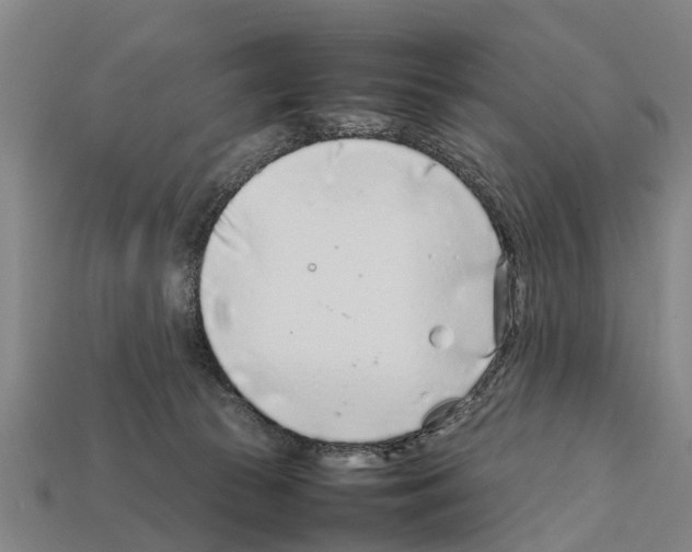 X0000111920177200909071225