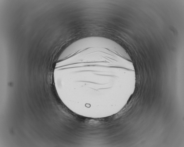 X0000111920180200909071225