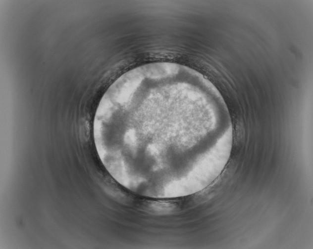 X0000111920183200909071225