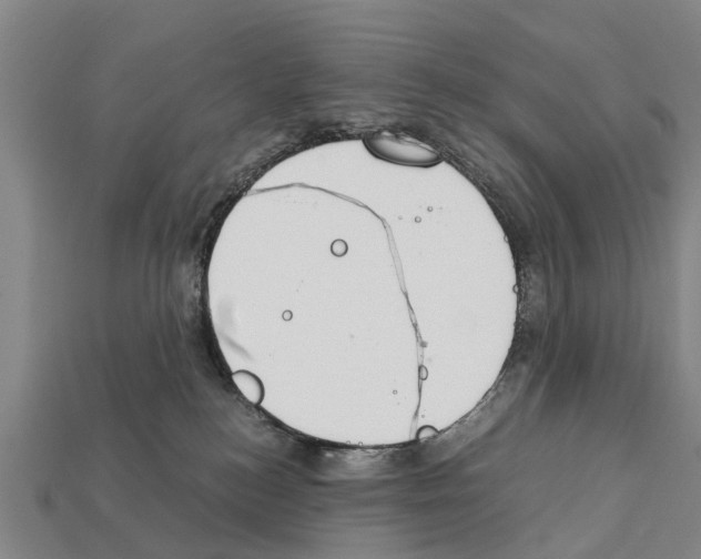 X0000111920184200909071225