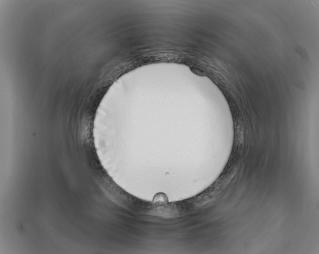 X0000111920185200909071225