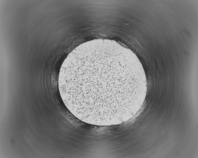 X0000111920186200909071225