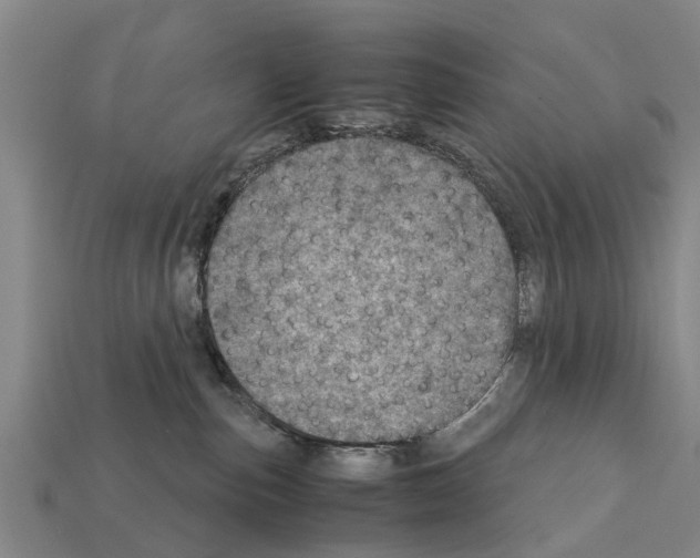 X0000111920187200909071225