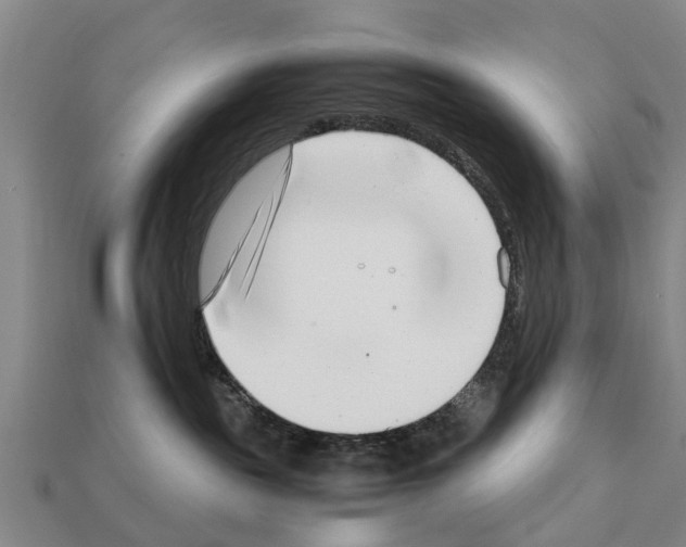 X0000111920189200909071225