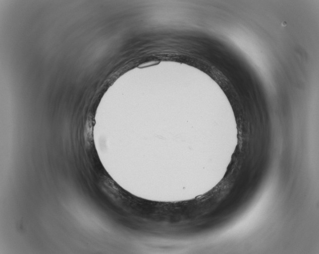 X0000111920190200909071225