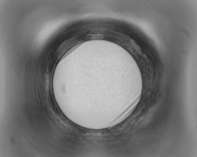 X0000111920194200909071224