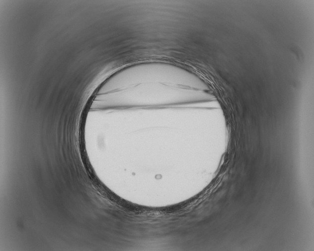 X0000111920195200909071224