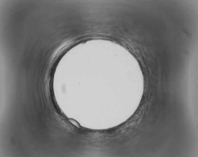 X0000111920197200909071224