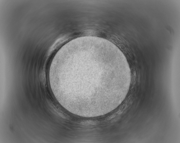 X0000111920198200909071224