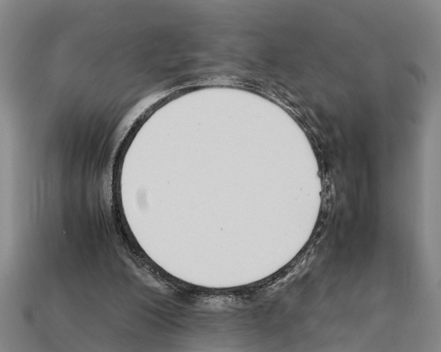 X0000111920200200909071224