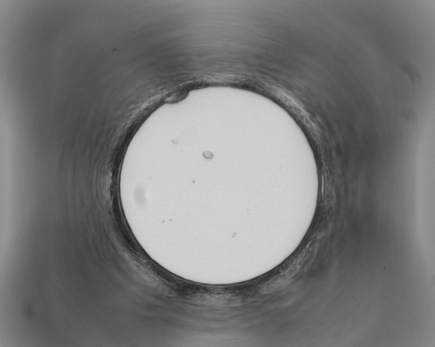 X0000111920201200909071224