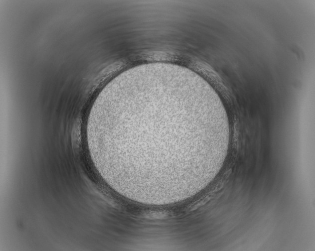 X0000111920202200909071224