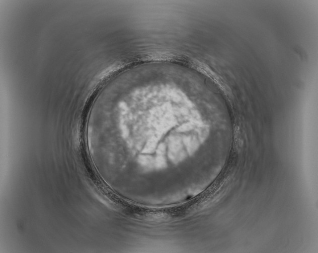 X0000111920203200909071224