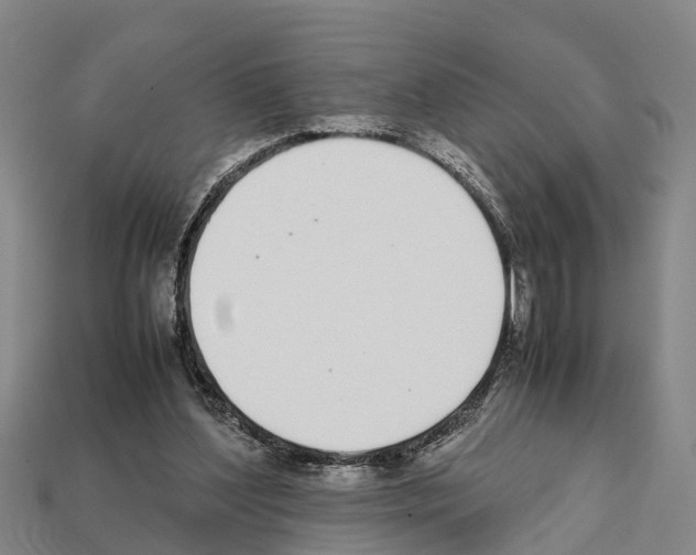 X0000111920204200909071224