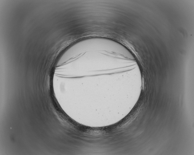 X0000111920205200909071224