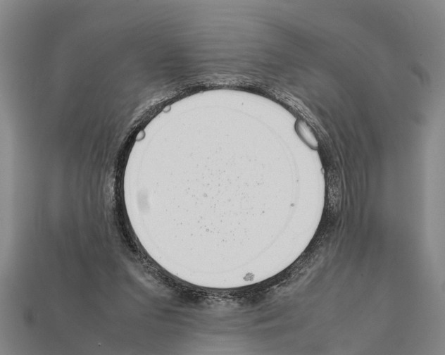 X0000111920207200909071224