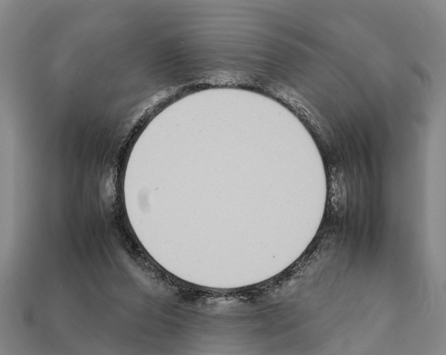 X0000111920208200909071224