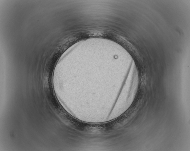 X0000111920209200909071224