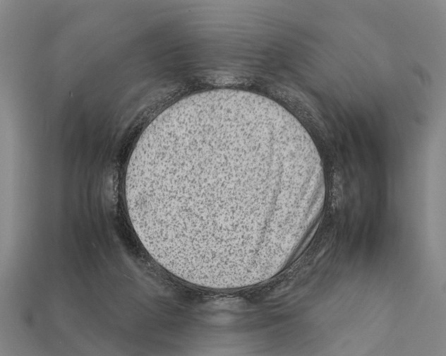 X0000111920210200909071224