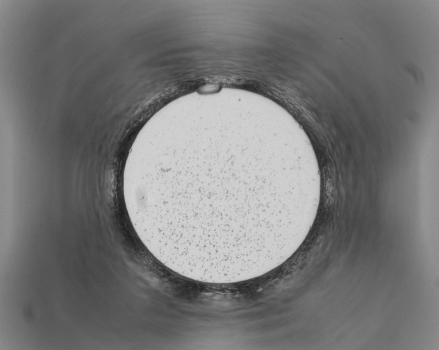 X0000111920211200909071224