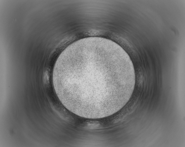 X0000111920214200909071224