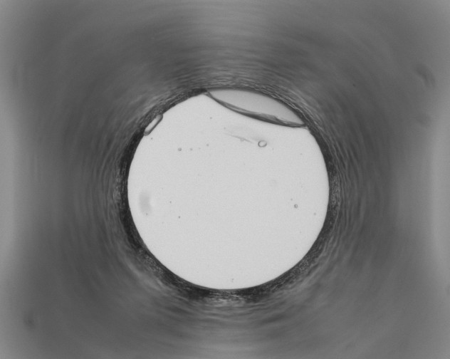 X0000111920215200909071224