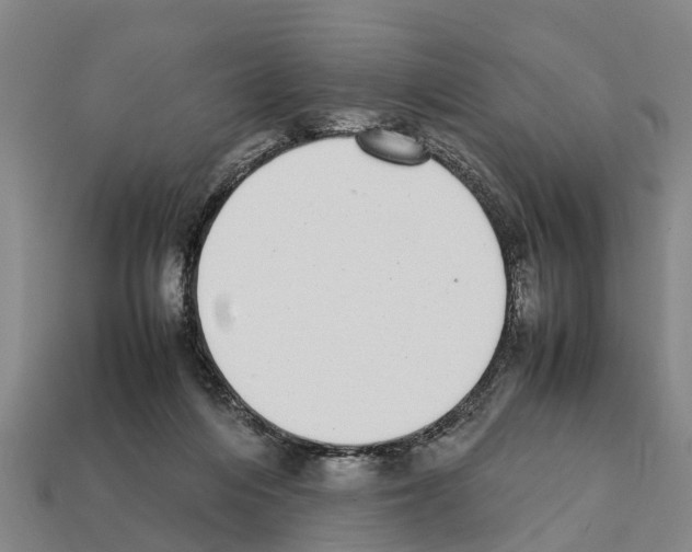 X0000111920216200909071224