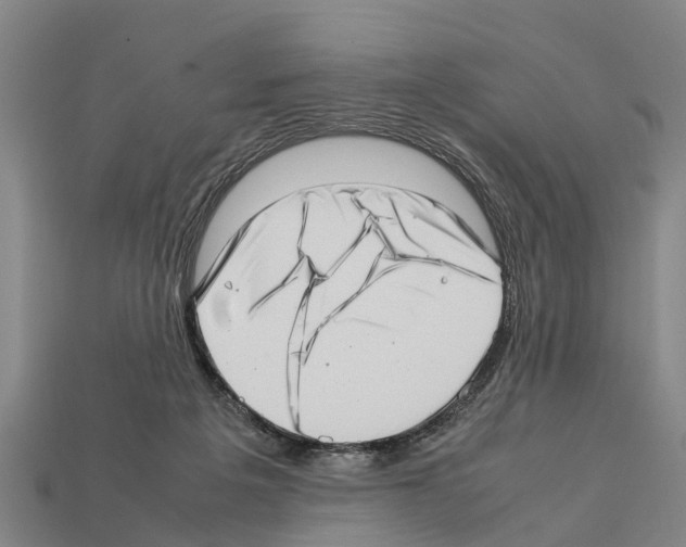 X0000111920217200909071224