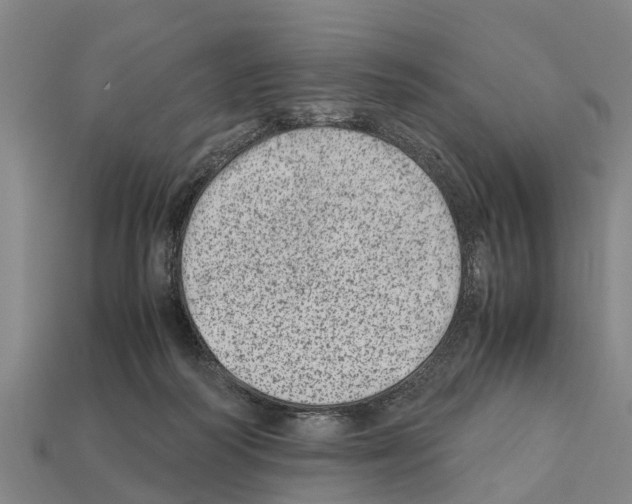 X0000111920218200909071224