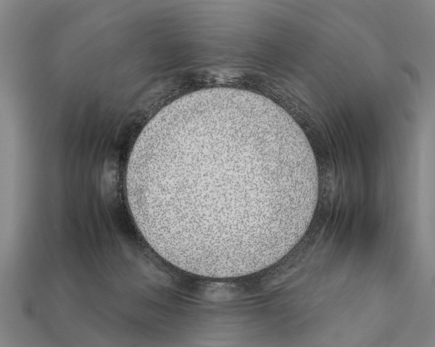 X0000111920222200909071224