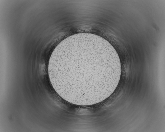 X0000111920224200909071224