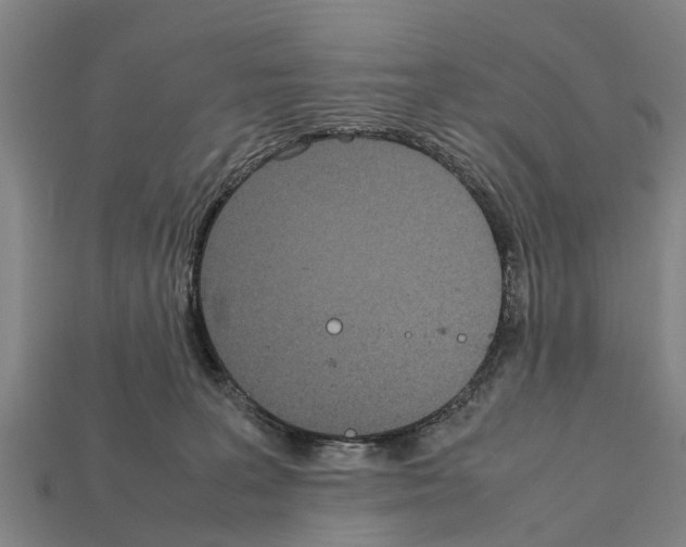 X0000111920227200909071224