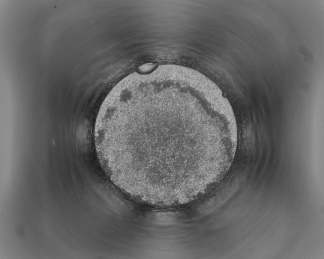 X0000111920228200909071224