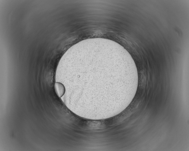 X0000111920230200909071224