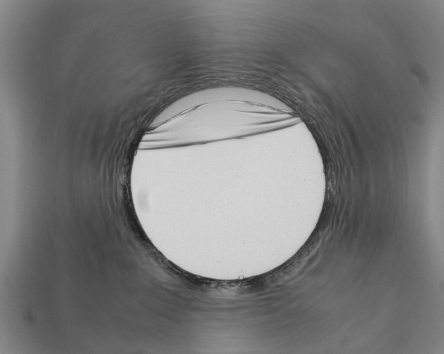 X0000111920235200909071224