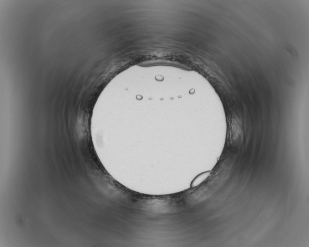 X0000111920236200909071224